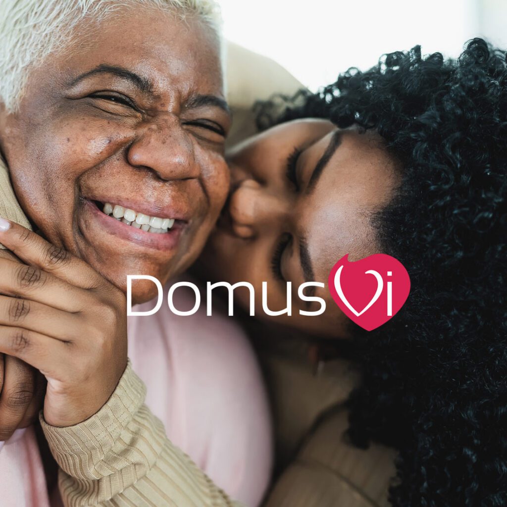 domus vi branding