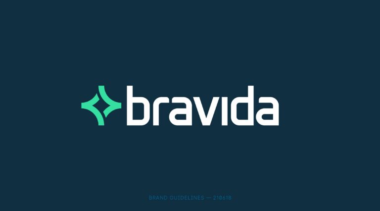 bravida charte graphique